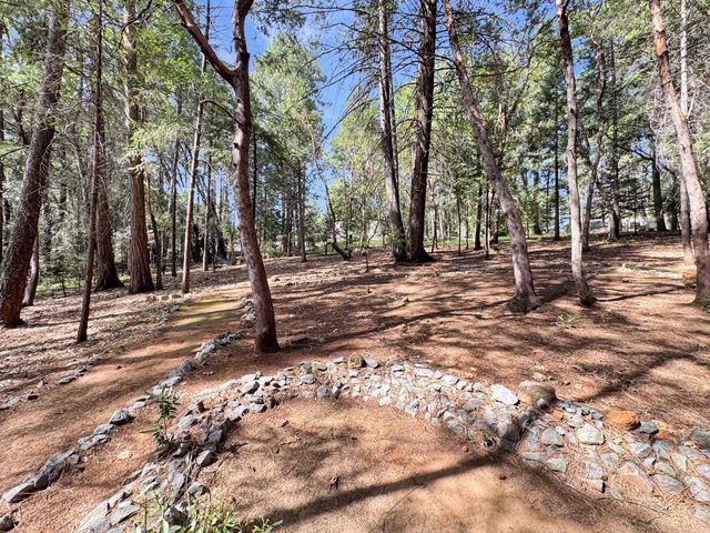 20515 Cedar View Ct, Foresthill, CA 95631