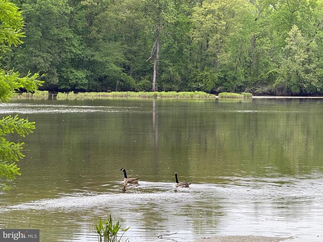 220 KIRBYS LANDING RD, Millington, MD 21651