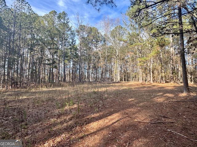 0 Claude Brewer Road, Loganville, GA 30052