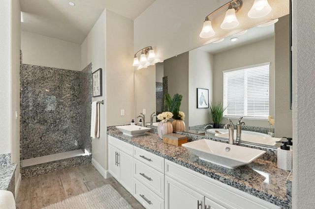 1005 Limpkin Ct, Lincoln, CA 95648