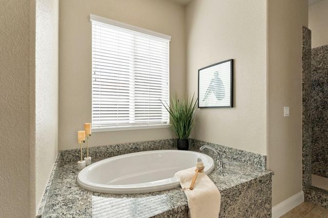 1005 Limpkin Ct, Lincoln, CA 95648