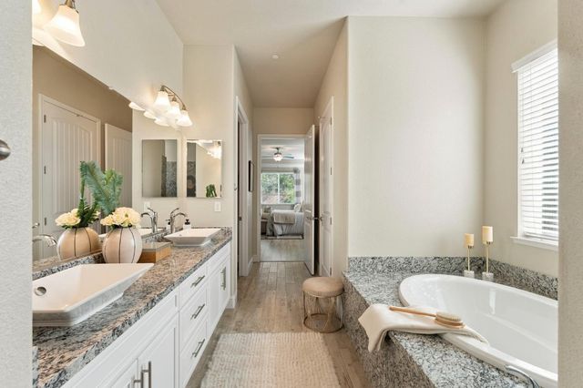 1005 Limpkin Ct, Lincoln, CA 95648