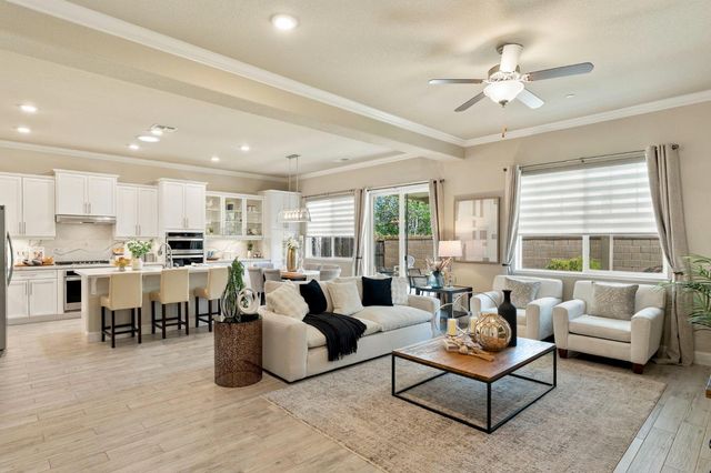 1005 Limpkin Ct, Lincoln, CA 95648