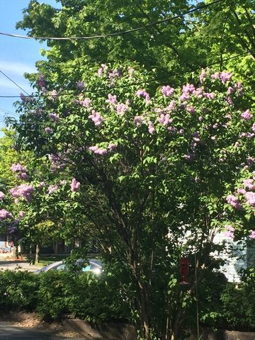 242 Pleasant Street, Leominster, MA 01453