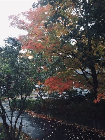 242 Pleasant Street, Leominster, MA 01453