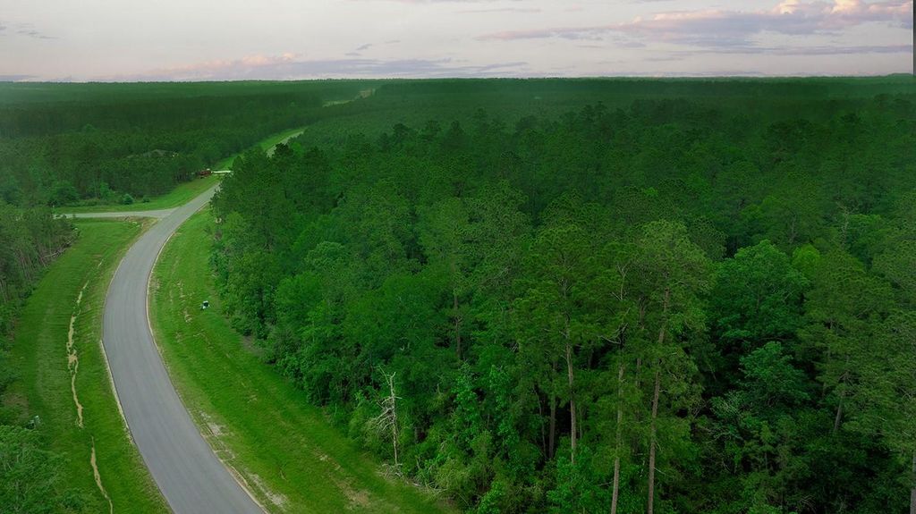 15628 Wood Grove Way, Willis, TX 77378