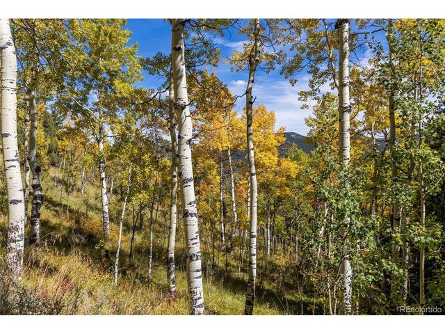 3 Seldom Seen Rd, Golden, CO 80403