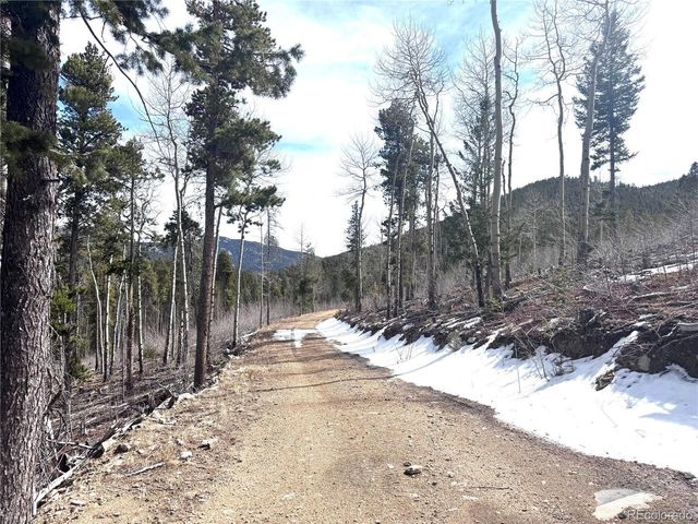 3 Seldom Seen Rd, Golden, CO 80403
