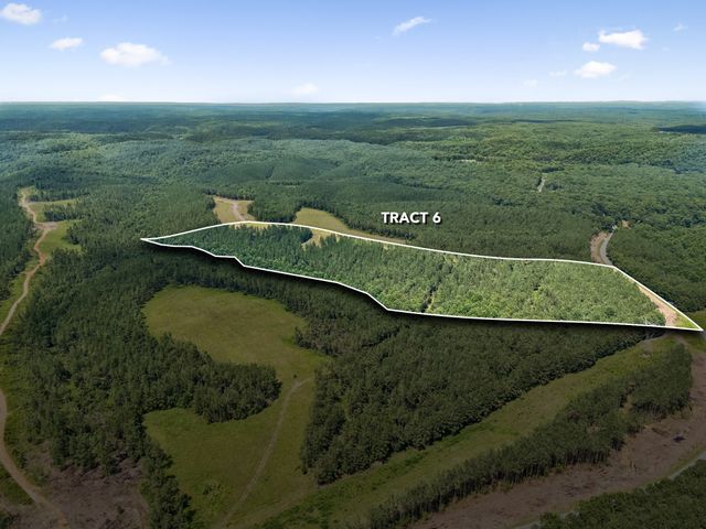 1420 Big Swan Creek Rd Tract 6, Summertown, TN 38483
