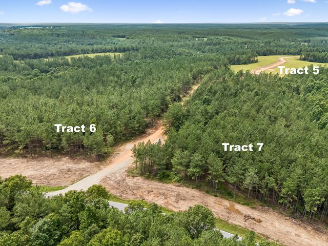 1420 Big Swan Creek Rd Tract 6, Summertown, TN 38483