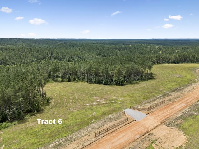 1420 Big Swan Creek Rd Tract 6, Summertown, TN 38483