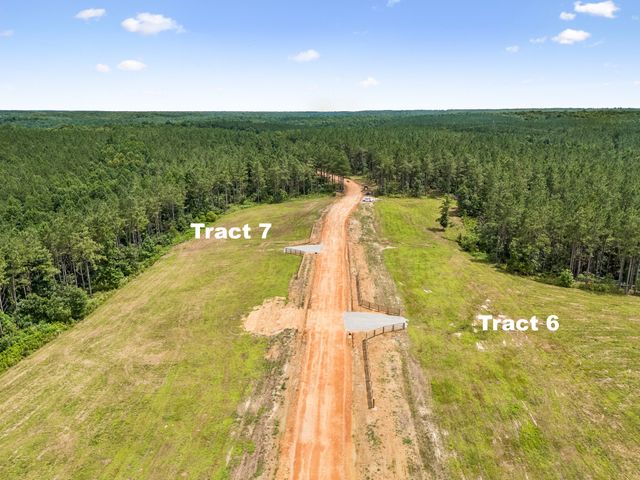 1420 Big Swan Creek Rd Tract 6, Summertown, TN 38483