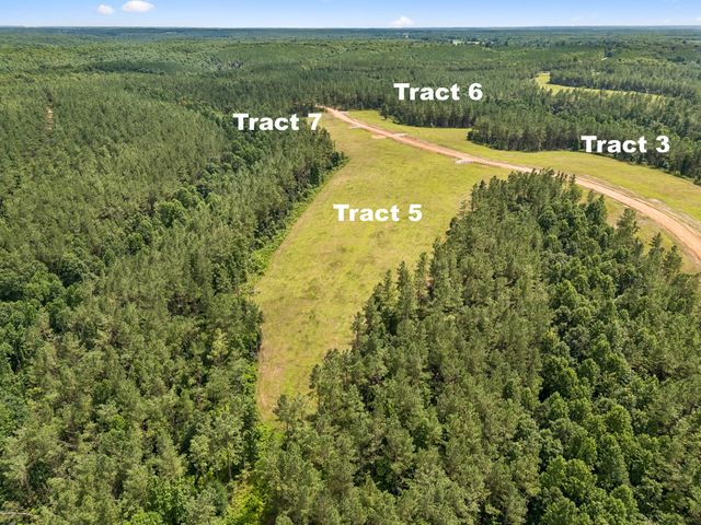 1420 Big Swan Creek Rd Tract 6, Summertown, TN 38483