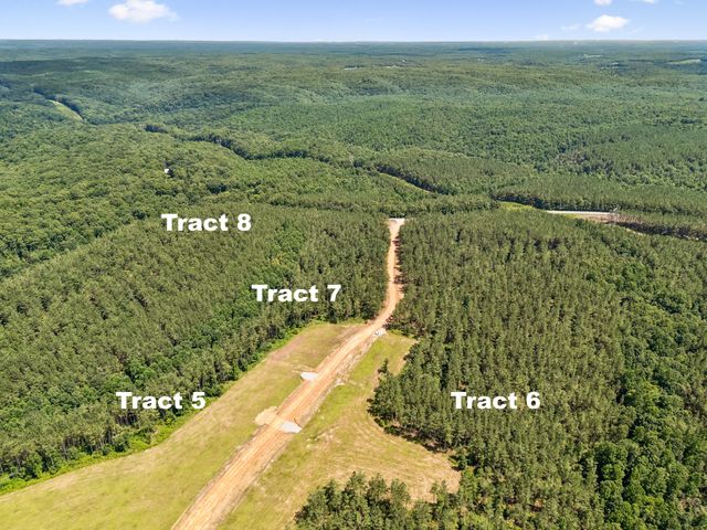 1420 Big Swan Creek Rd Tract 6, Summertown, TN 38483