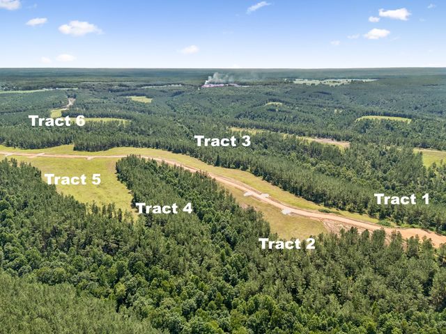 1420 Big Swan Creek Rd Tract 6, Summertown, TN 38483