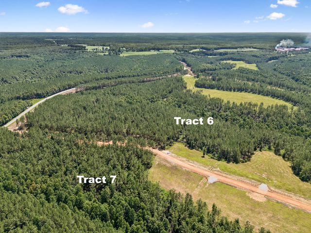 1420 Big Swan Creek Rd Tract 6, Summertown, TN 38483
