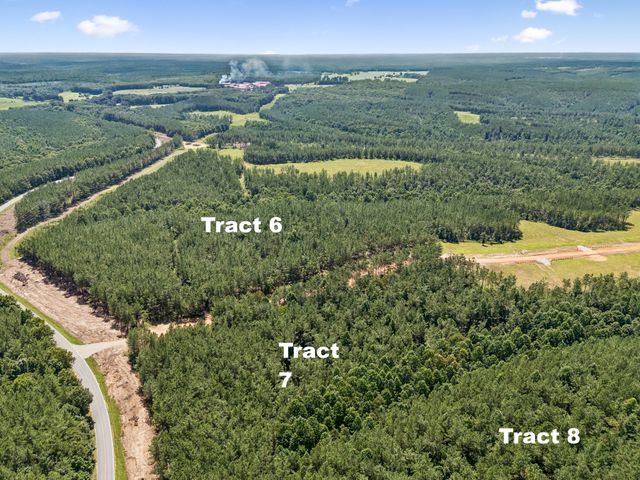 1420 Big Swan Creek Rd Tract 6, Summertown, TN 38483