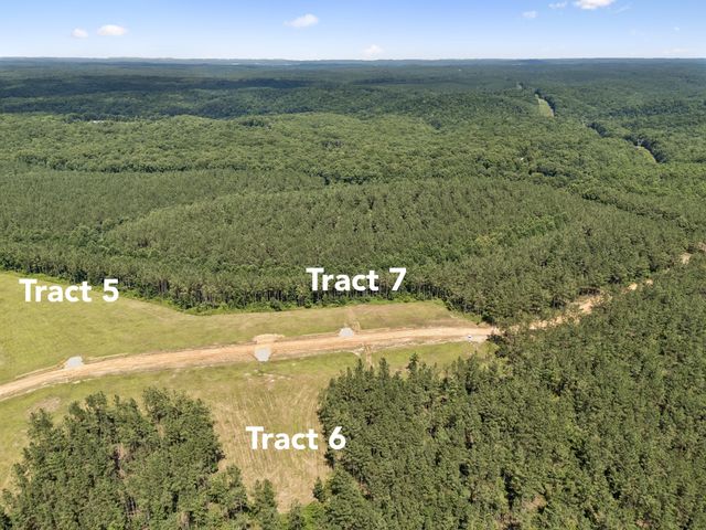 1420 Big Swan Creek Rd Tract 6, Summertown, TN 38483
