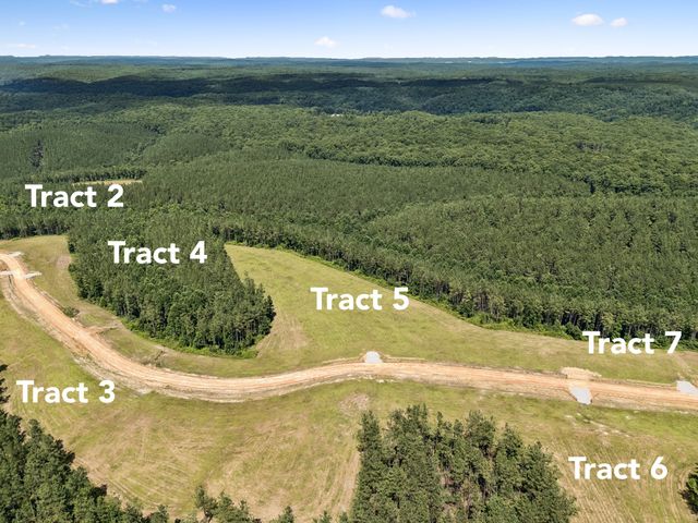 1420 Big Swan Creek Rd Tract 6, Summertown, TN 38483