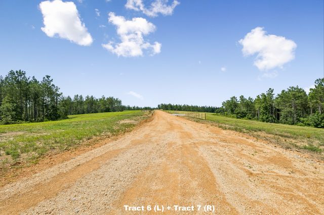 1420 Big Swan Creek Rd Tract 6, Summertown, TN 38483