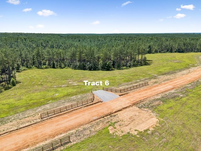 1420 Big Swan Creek Rd Tract 6, Summertown, TN 38483