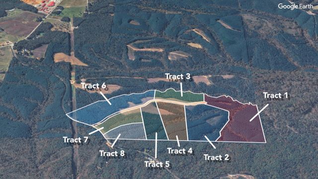 1420 Big Swan Creek Rd Tract 6, Summertown, TN 38483