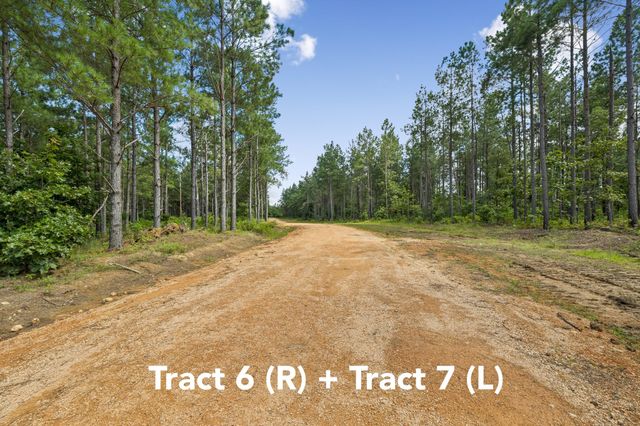 1420 Big Swan Creek Rd Tract 6, Summertown, TN 38483