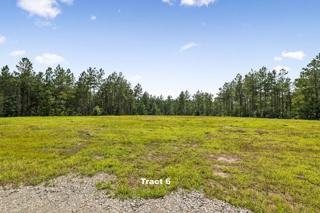 1420 Big Swan Creek Rd Tract 6, Summertown, TN 38483