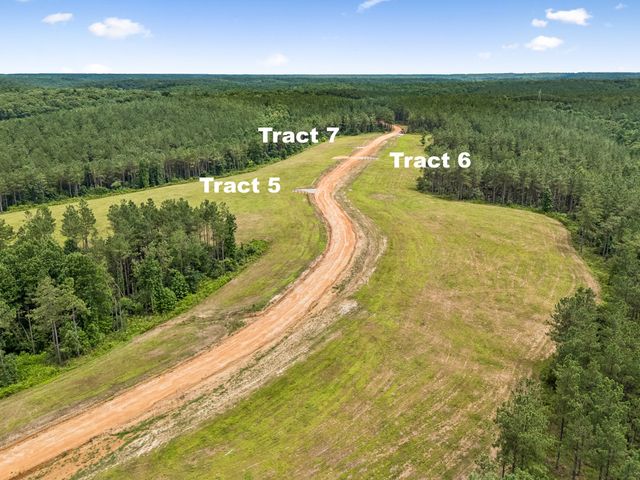 1420 Big Swan Creek Rd Tract 6, Summertown, TN 38483