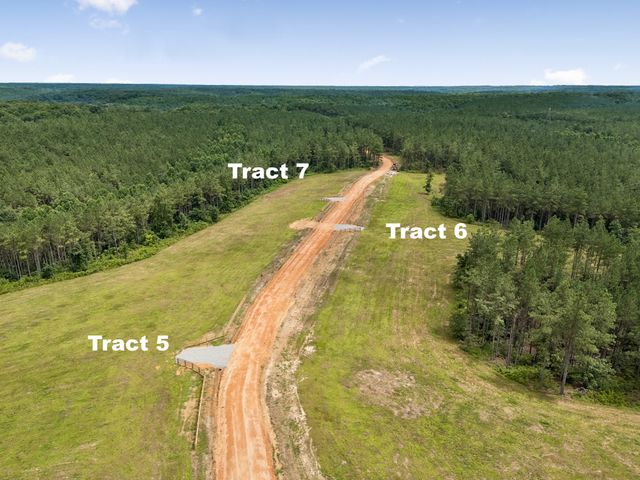 1420 Big Swan Creek Rd Tract 6, Summertown, TN 38483