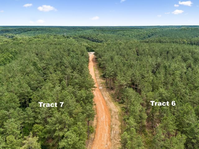 1420 Big Swan Creek Rd Tract 6, Summertown, TN 38483