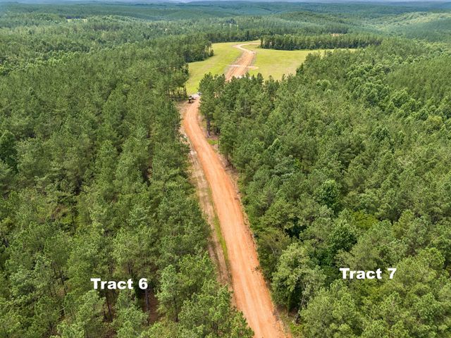 1420 Big Swan Creek Rd Tract 6, Summertown, TN 38483