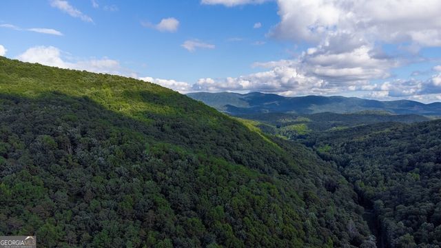 LOT 18 Cub Trail, Cherry Log, GA 30522