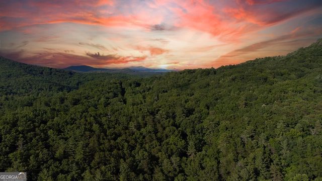 LOT 18 Cub Trail, Cherry Log, GA 30522
