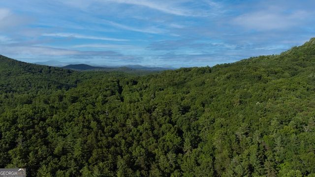 LOT 18 Cub Trail, Cherry Log, GA 30522