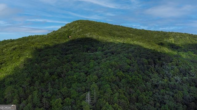 LOT 18 Cub Trail, Cherry Log, GA 30522