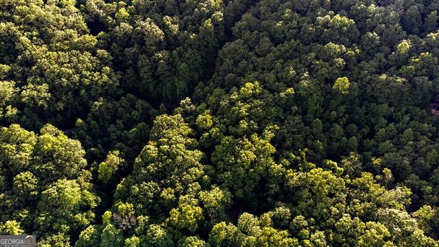 LOT 18 Cub Trail, Cherry Log, GA 30522