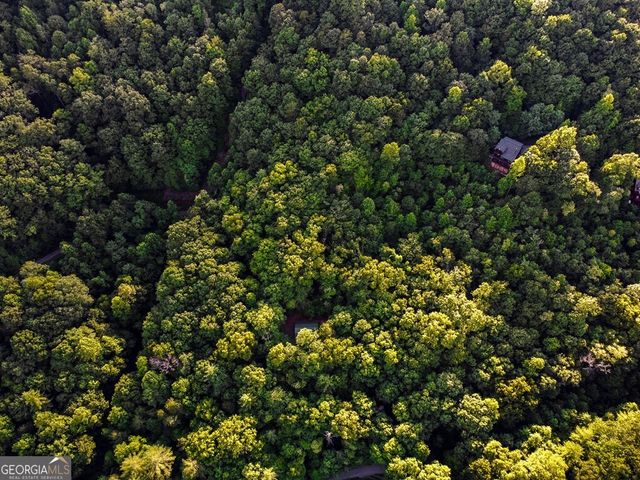 LOT 18 Cub Trail, Cherry Log, GA 30522