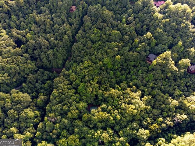 LOT 18 Cub Trail, Cherry Log, GA 30522