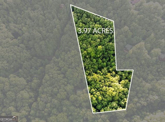 LOT 18 Cub Trail, Cherry Log, GA 30522