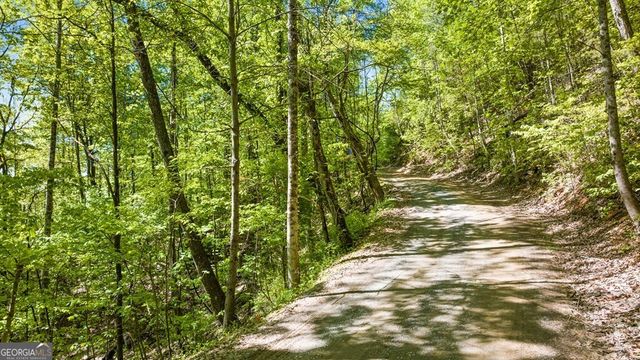 LOT 18 Cub Trail, Cherry Log, GA 30522