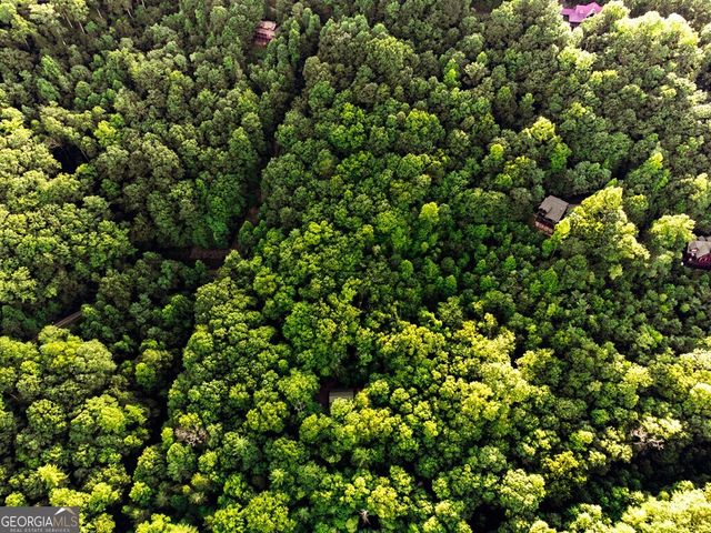 LOT 18 Cub Trail, Cherry Log, GA 30522