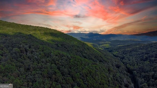 LOT 18 Cub Trail, Cherry Log, GA 30522