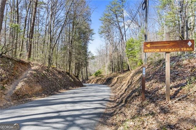 LOT 18 Cub Trail, Cherry Log, GA 30522