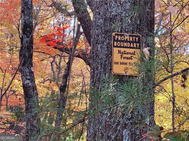 LOT 18 Cub Trail, Cherry Log, GA 30522