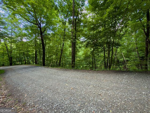 LOT 18 Cub Trail, Cherry Log, GA 30522