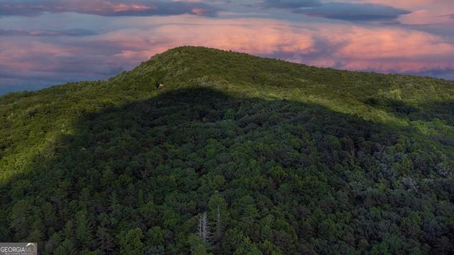 LOT 18 Cub Trail, Cherry Log, GA 30522