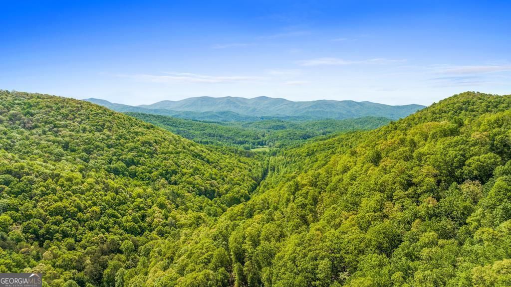 LOT 18 Cub Trail, Cherry Log, GA 30522