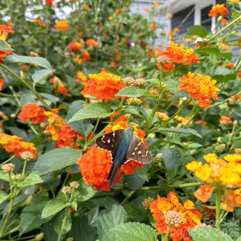 237 Jefferson Avenue NE, Concord, NC 28025