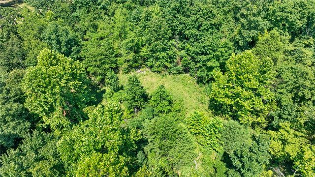 Fruitwood Road, Bentonville, AR 72736
